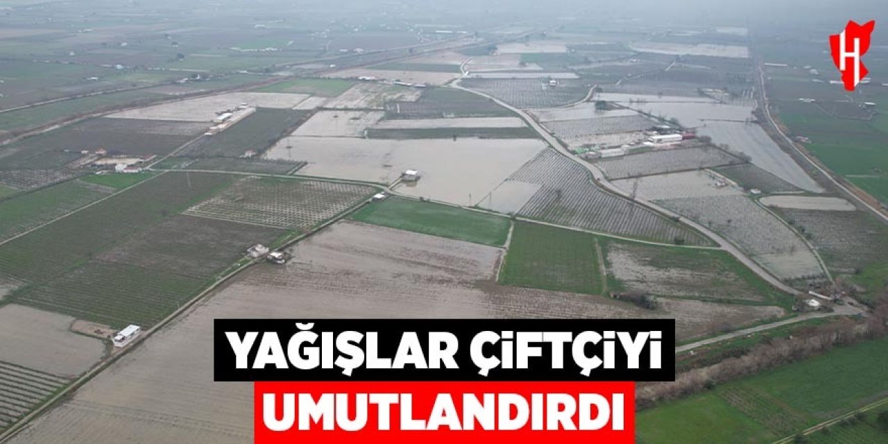 Yağışlar çiftçiyi umutlandırdı