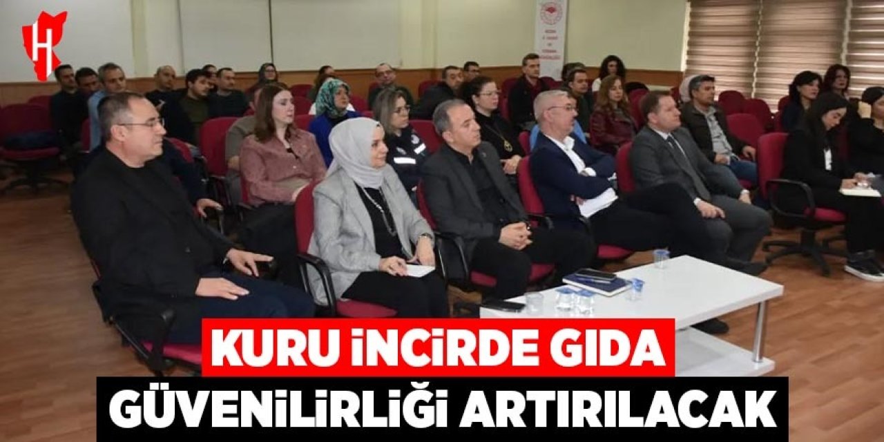 Kuru incirde gıda güvenilirliği artırılacak