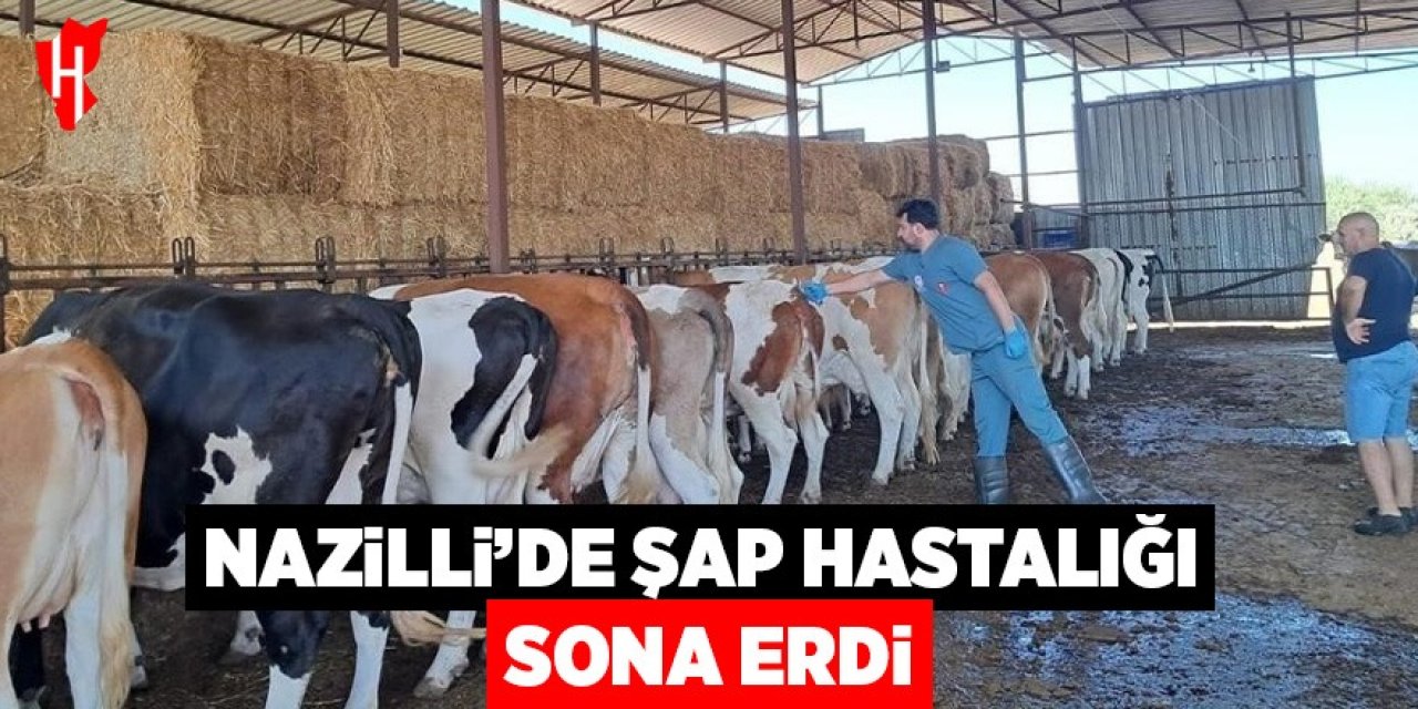 Nazilli'de Şap Hastalığı sona erdi