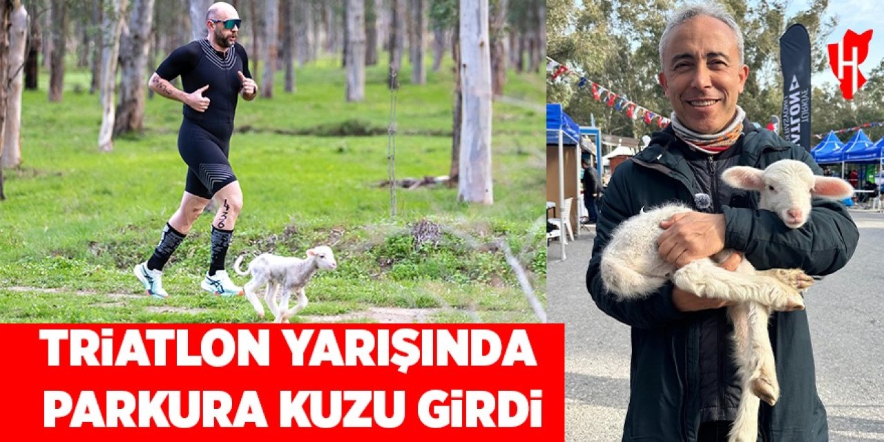 Triatlon yarışında parkura kuzu girdi