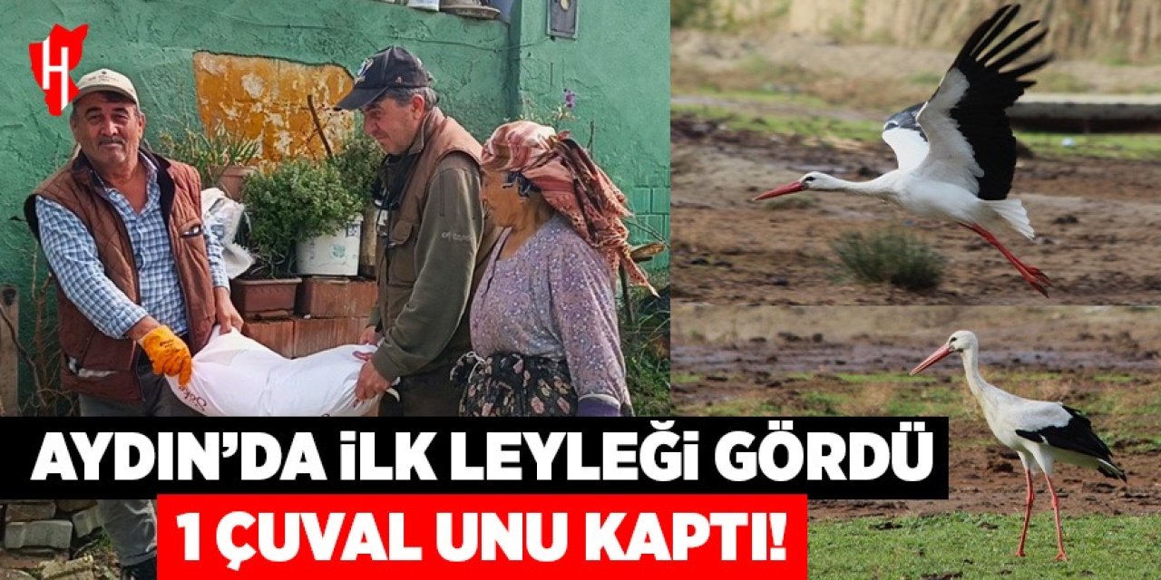 Aydın’da ilk leyleği gördü, bir çuval unu kaptı