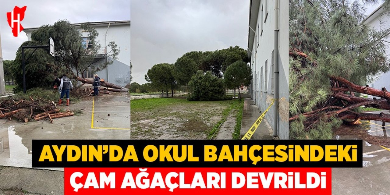 Aydın'da okul bahçesindeki çam ağaçları kuvvetli rüzgara dayanamadı