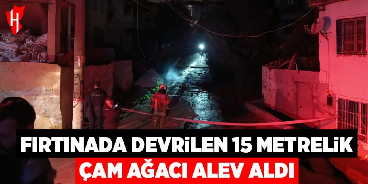 Fırtınada devrilen 15 metrelik çam ağacı alev aldı