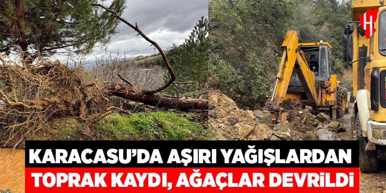 Karacasu'da aşırı yağışlar sonrası toprak kaydı, ağaçlar devrildi