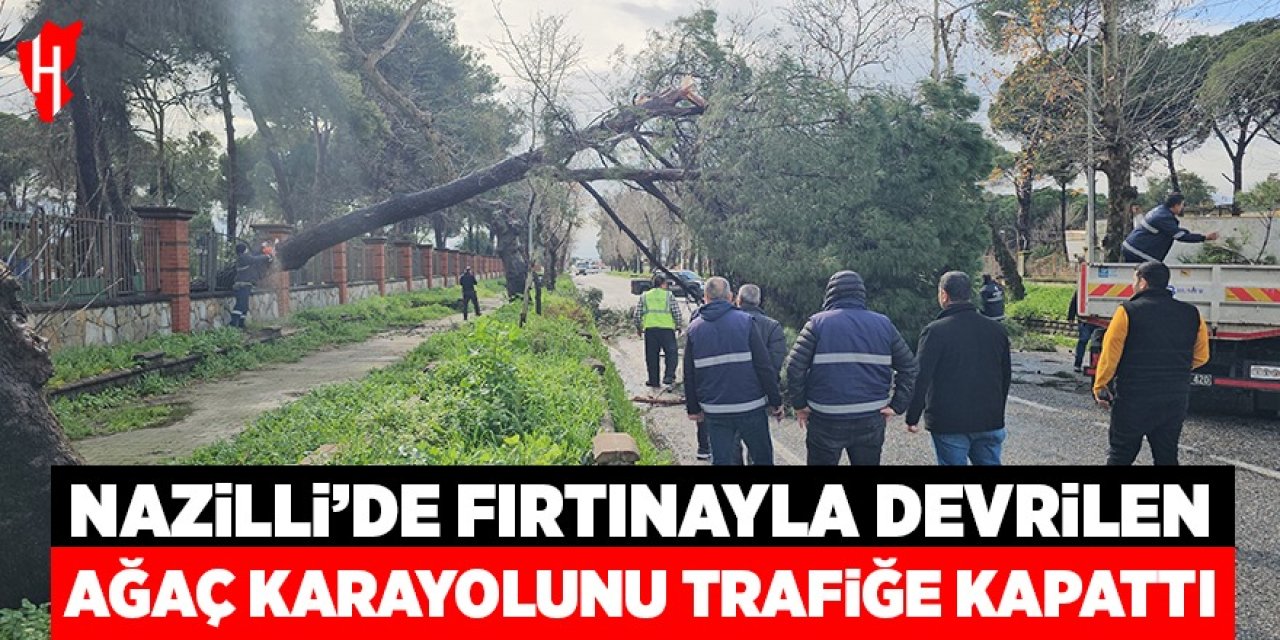 Nazilli'de fırtınayla devrilen dev çam ağacı karayolunu trafiğe kapadı
