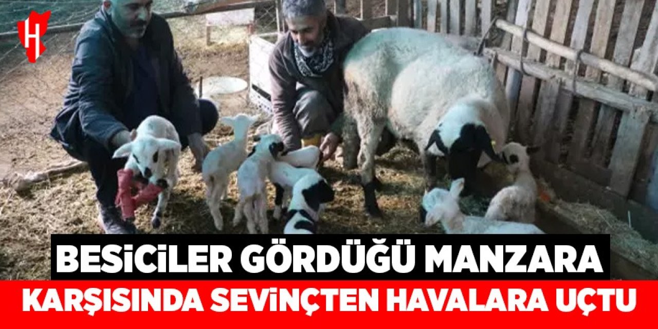 Besiciler gördüğü manzara karşısında sevinçten havalara uçtu!