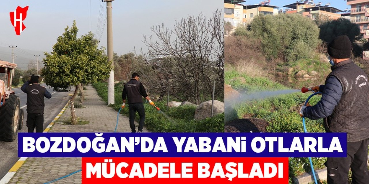 Bozdoğan’da yabani otlarla mücadele başladı