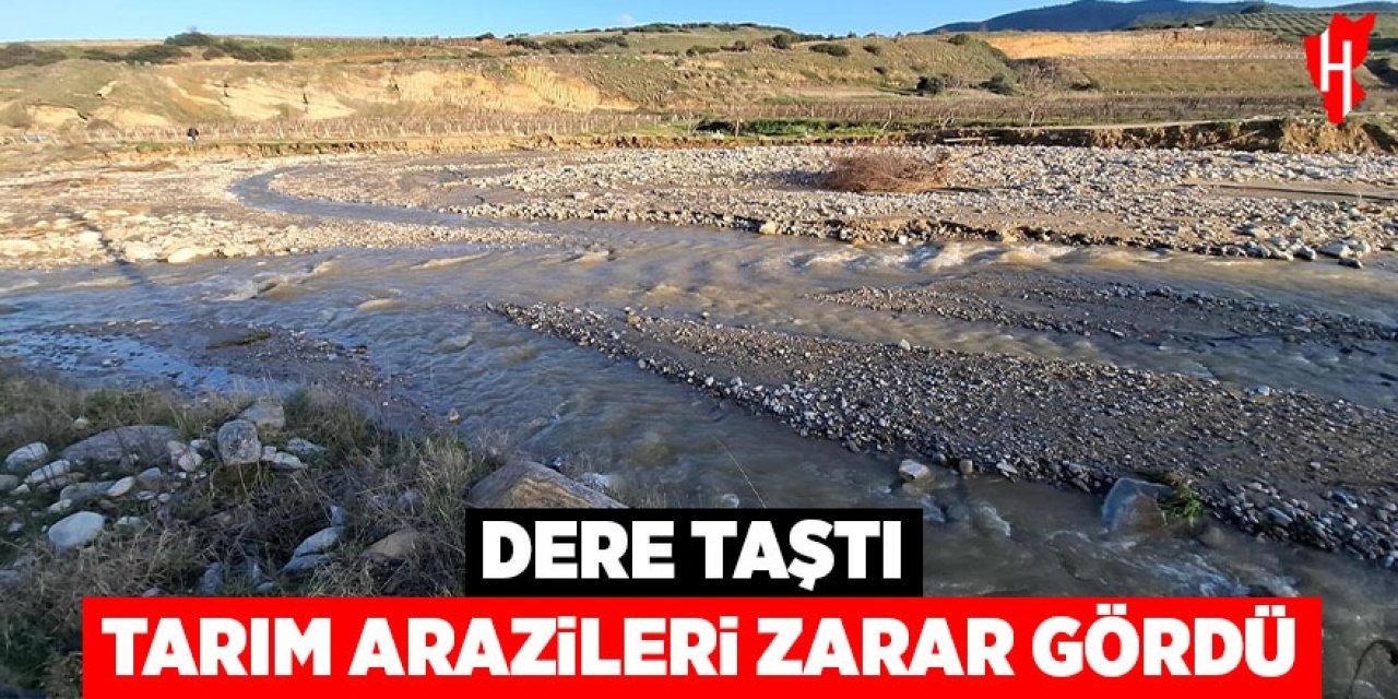 Dere taştı, tarım arazileri zarar gördü