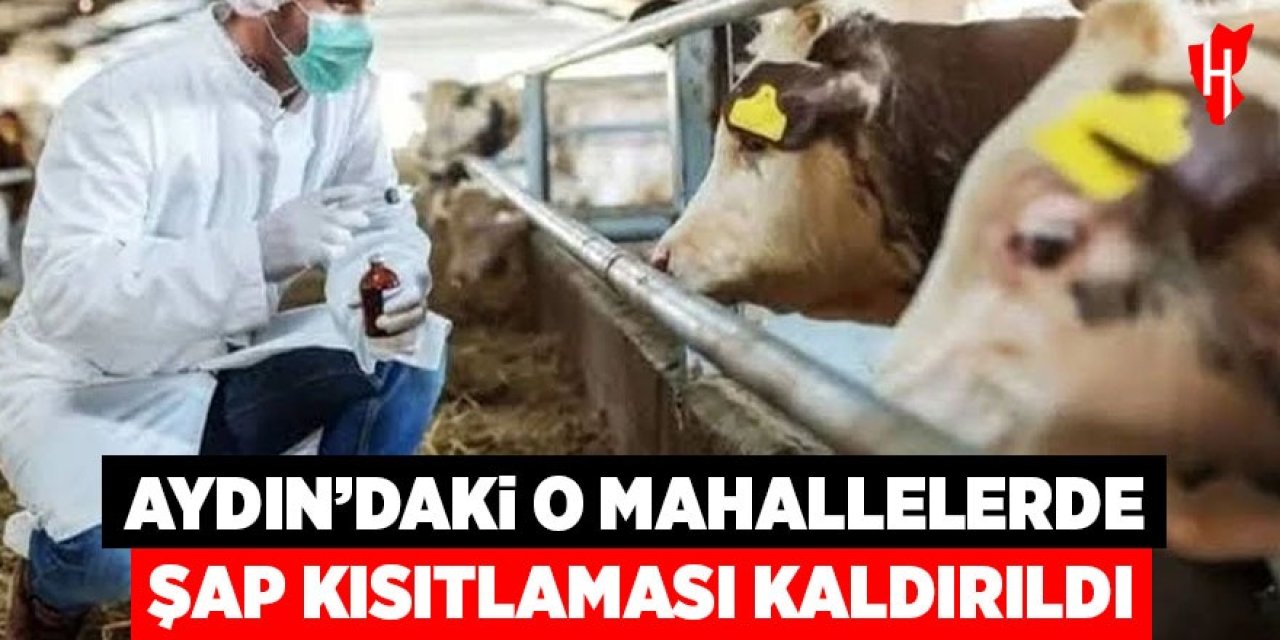 Aydın’daki o mahallelerde şap kısıtlaması kaldırıldı