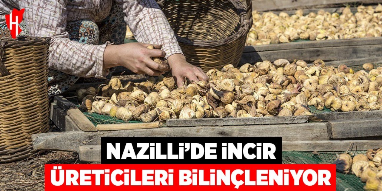 Nazilli'de incir üreticileri bilinçleniyor