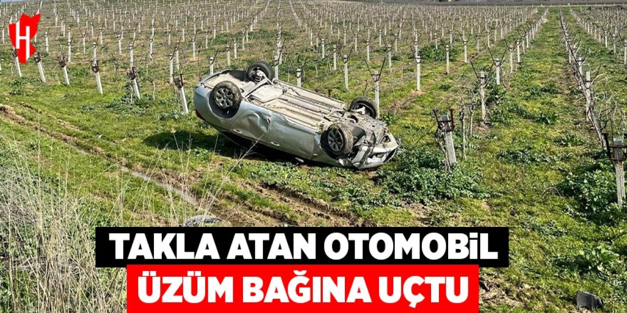 Takla atan otomobil üzüm bağına uçtu