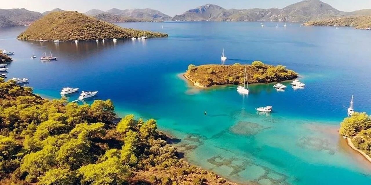 Danıştay'dan Aydın ve Muğla kararı! Söke, Kuşadası ve Didim'i ilgilendiriyor