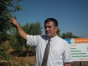 Üreticiler Zeytin Dal Kanserine Karşı Bilgilendiriliyor