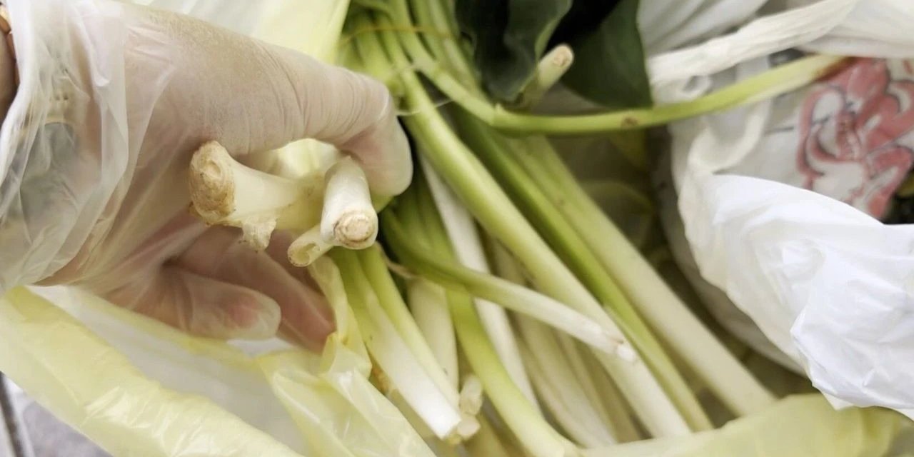 Pazardan aldıkları ürün doktor çifti ölümden döndürdü