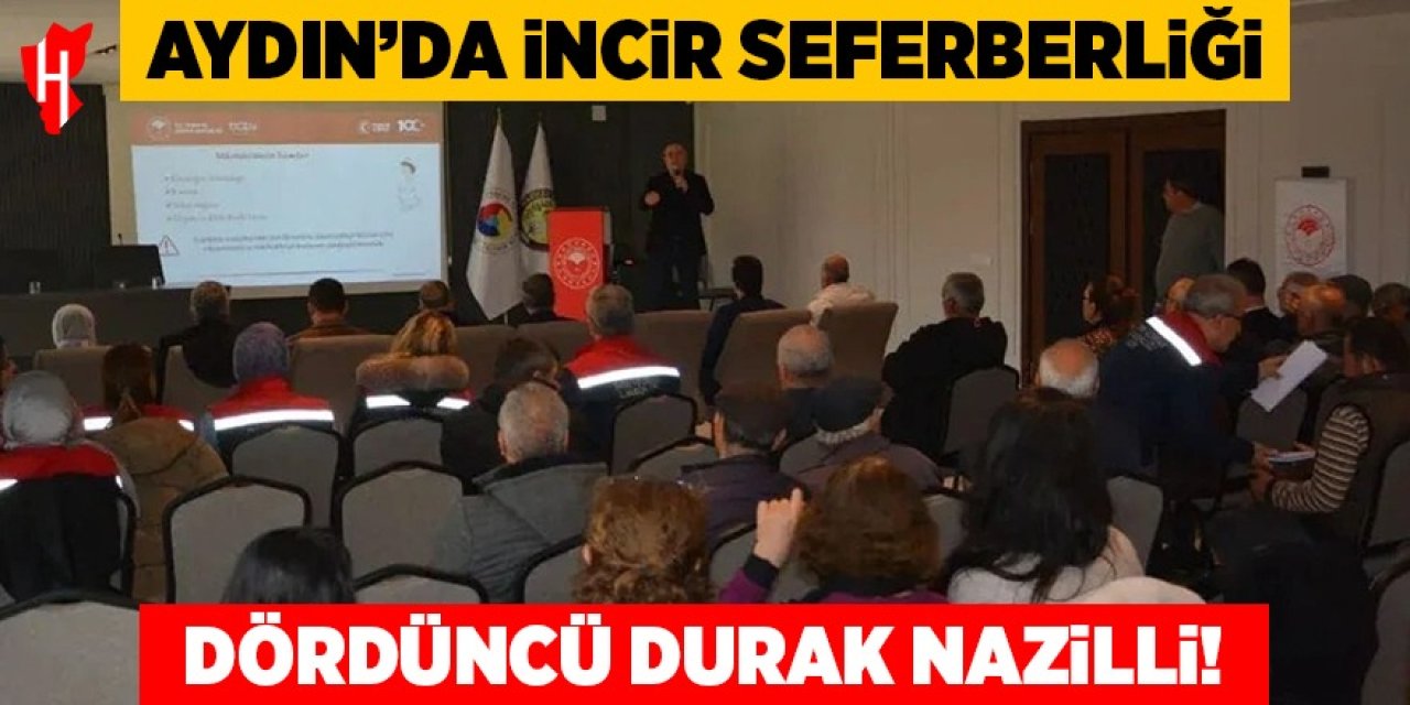 Aydın'da incir seferberliği: Dördüncü durak Nazilli