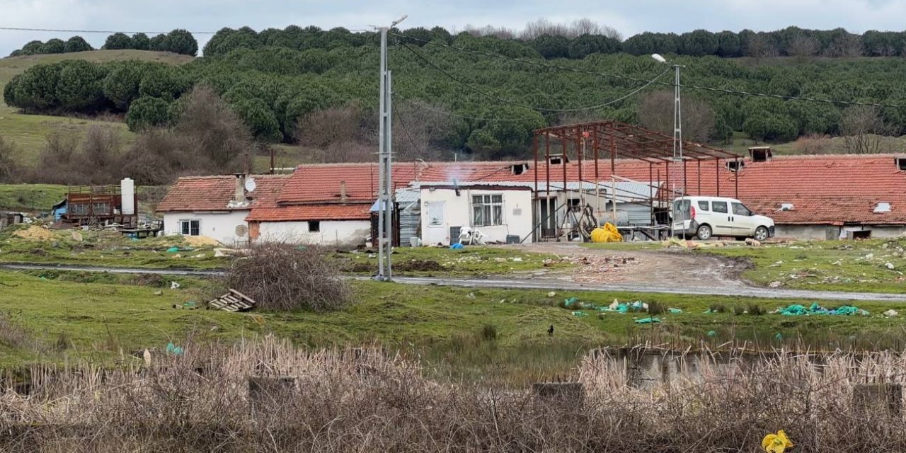 Elektrikli testereli saldırı: Çiftlik evinde dehşet