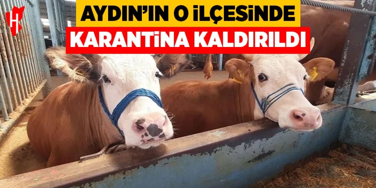 Aydın'ın o ilçesinde karantina kaldırıldı!