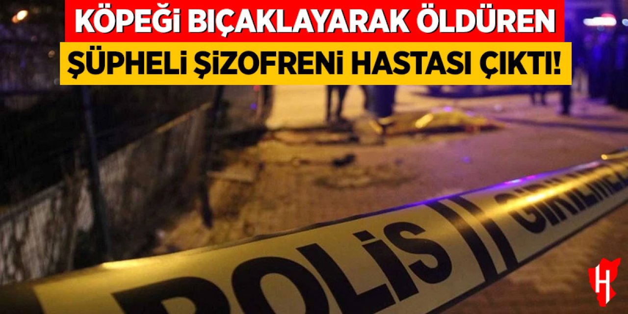 Köpeği bıçaklayarak öldüren şüphelinin şizofreni hastası olduğu ortaya çıktı