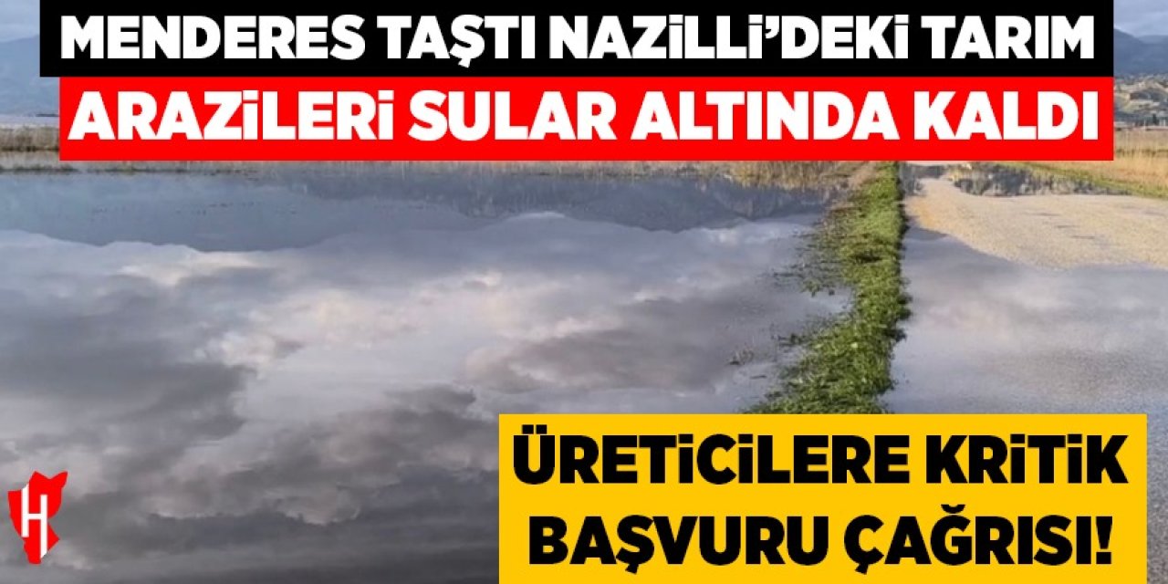 Nazilli'de tarım arazileri sular altında kaldı: Üreticilere kritik başvuru çağrısı!