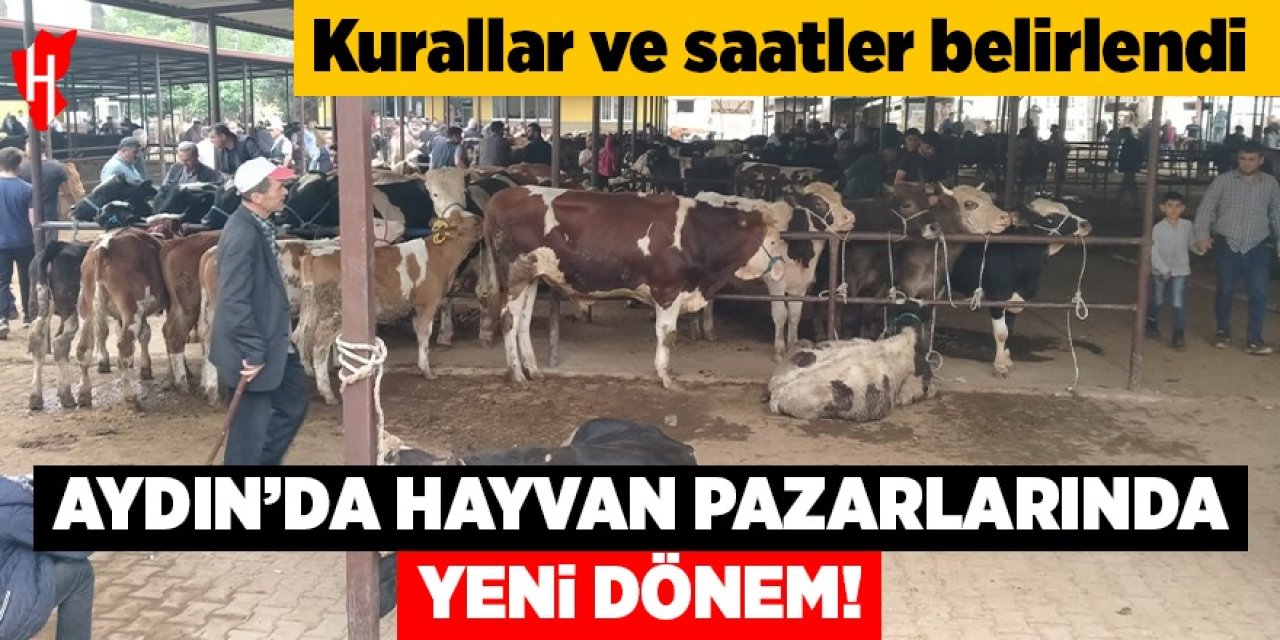 Aydın'da hayvan pazarlarında yeni dönem: Kurallar ve saatler belirlendi