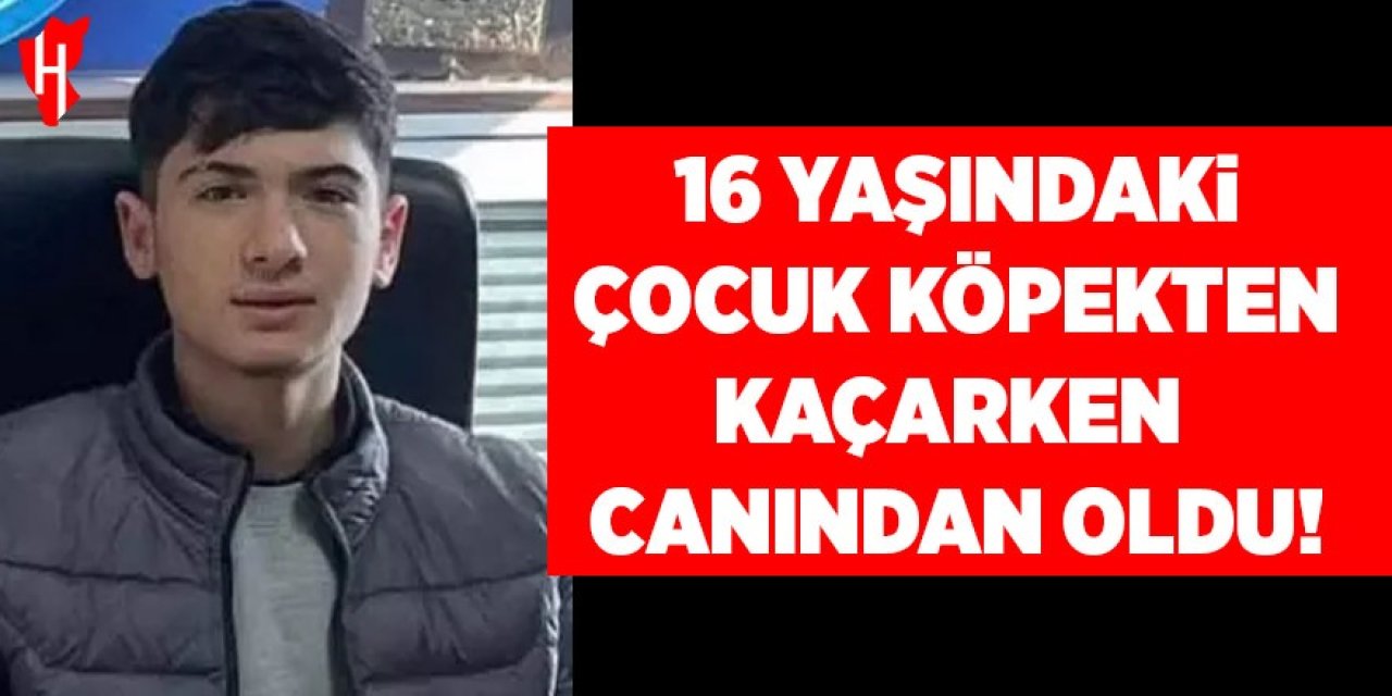16 yaşındaki çocuk köpekten kaçarken canından oldu