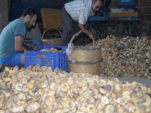 Depolarda Bekletilen İncircirde Aflatoksin Uyarısı