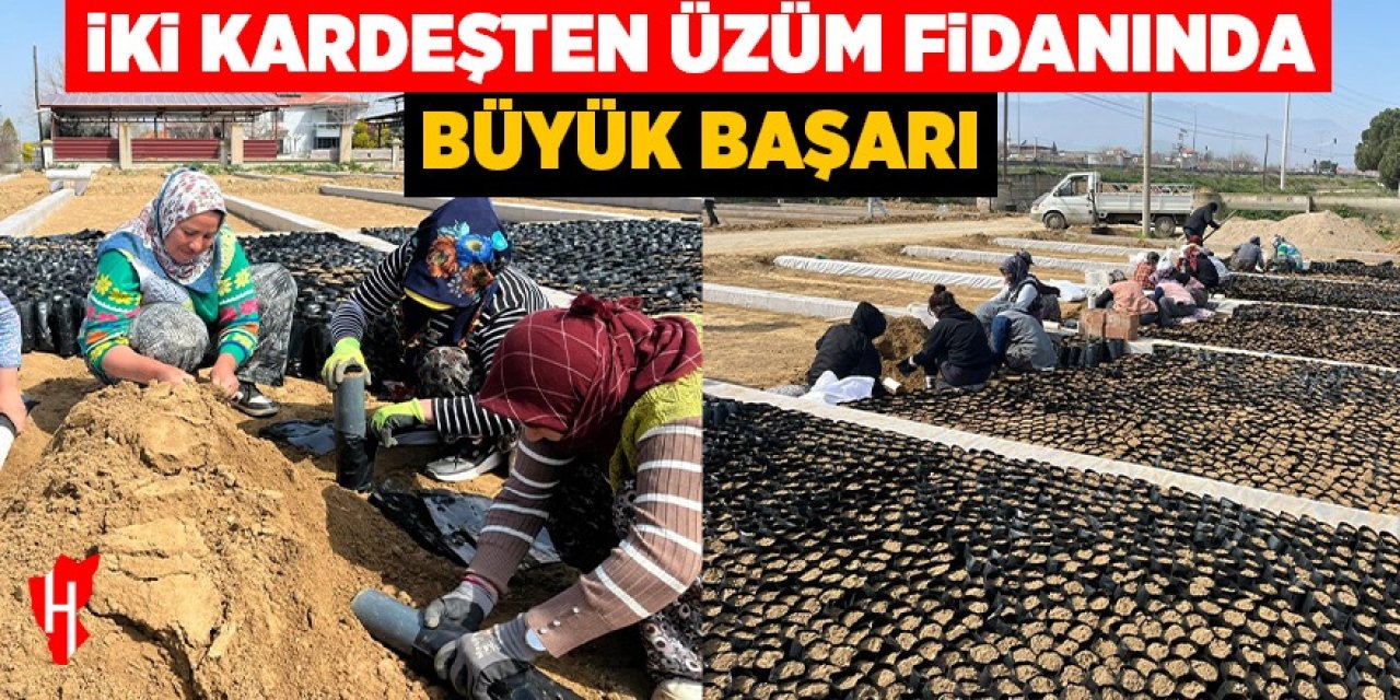 İki kardeşten üzüm fidanında büyük başarı