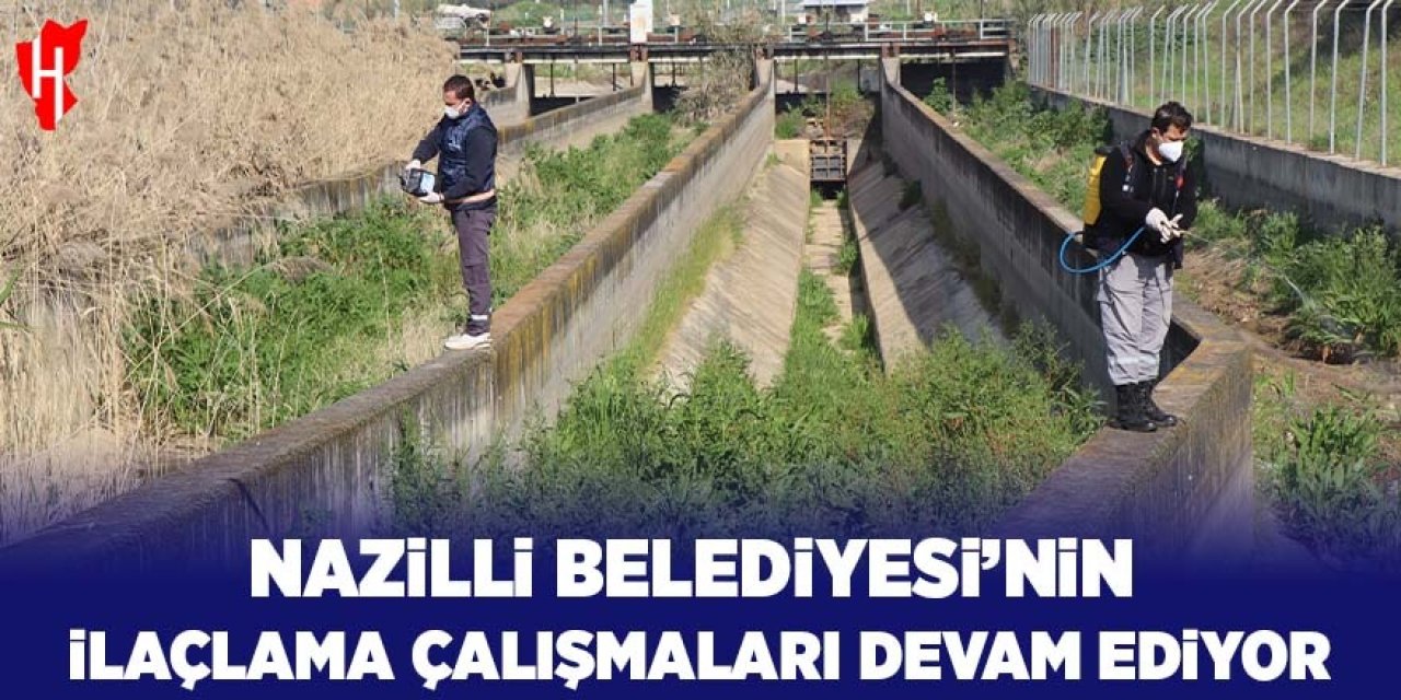 Nazilli Belediyesi sivrisinek ve haşereyle mücadeleye kesintisiz devam ediyor