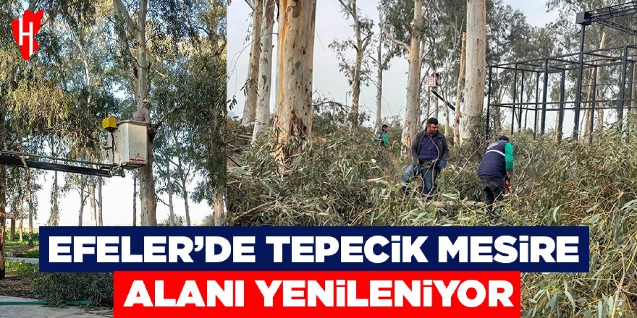 Efeler'de Tepecik Mesire alanı yenileniyor