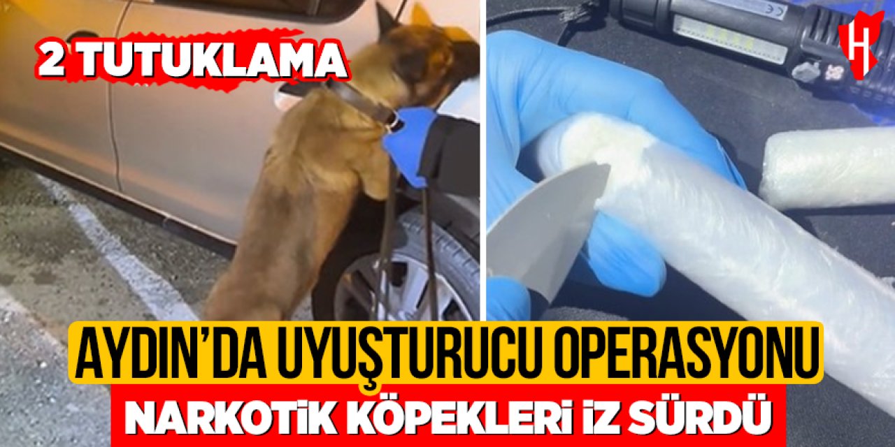 Aydın'da uyuştucu operasyonu: 2 şüpheli tutuklandı