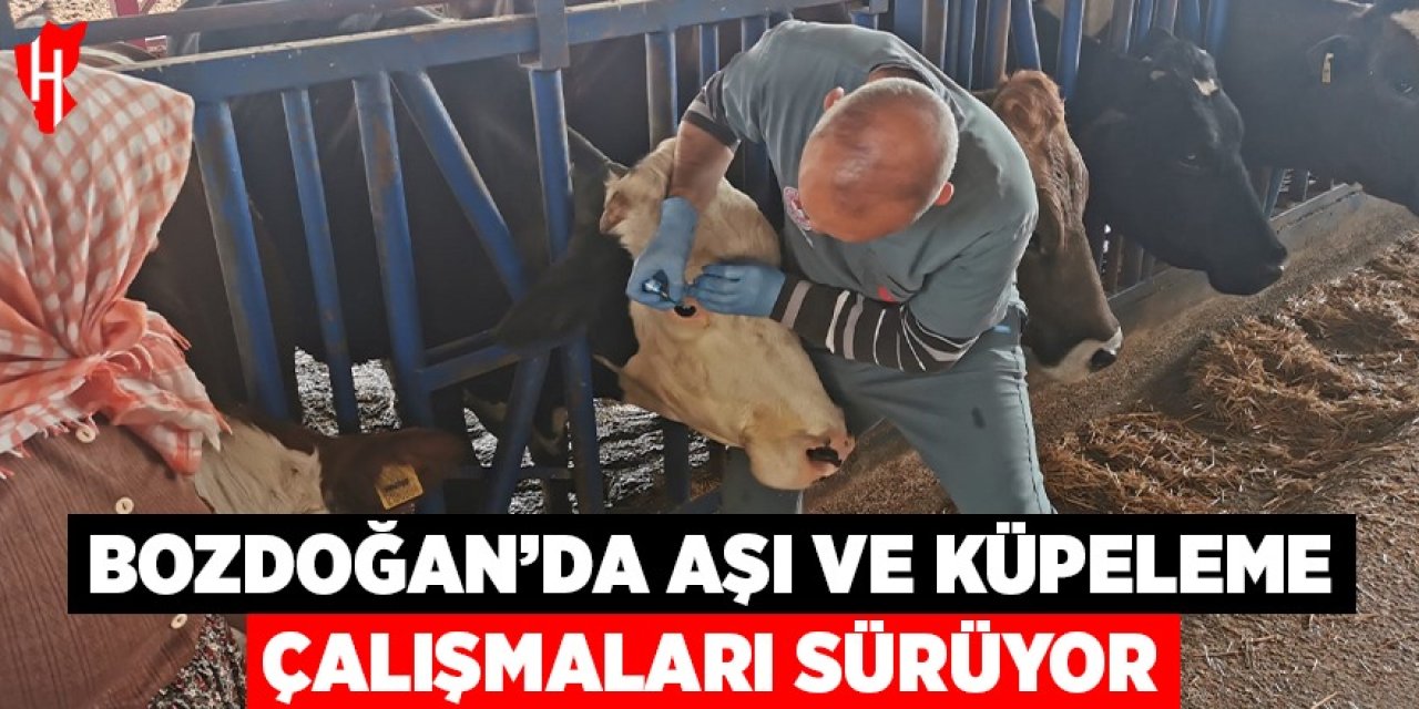 Bozdoğan'da aşı ve küpeleme çalışmaları sürüyor