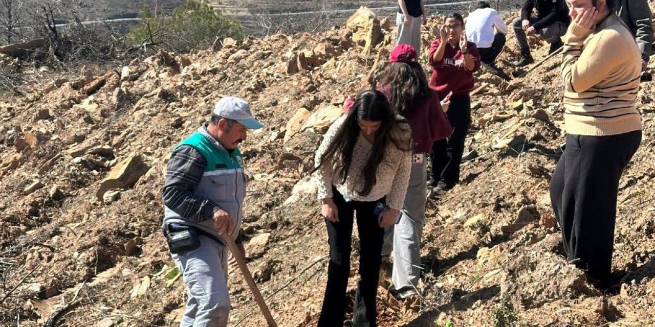 Orman haftasında binlerce fidan toprakla buluştu