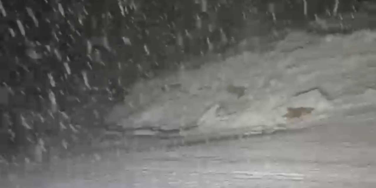 Nazilli’de Mart’ın sonunda kar yağışı sürprizi! Zirve beyaza büründü