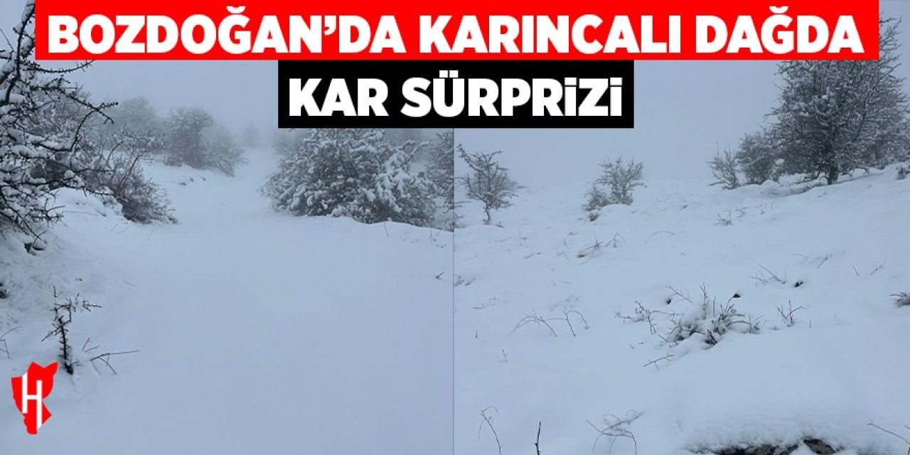Bozdoğan'da Karıncalı Dağ'da kar sürprizi