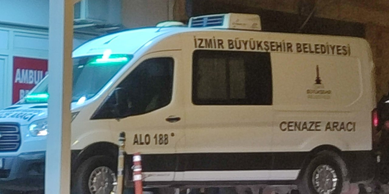 Dereden geçmek isterken hayatını kaybetti