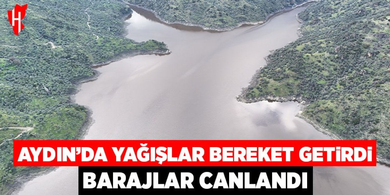 Aydın'da yağmurlar bereket getirdi, barajlar canlandı