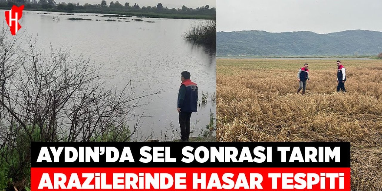 Aydın'da sel sonrası tarım arazilerinde hasar tespiti sürüyor