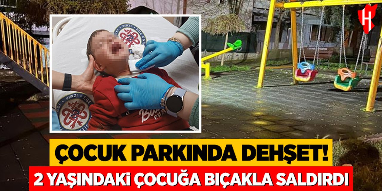 Çocuk parkında dehşet: 2 yaşındaki çocuğa bıçakla saldırdı