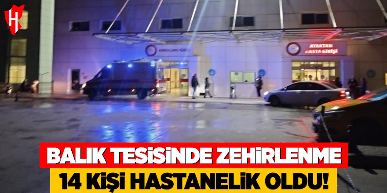 Balık tesisinde amonyak zehirlenmesi: 14 kişi hastanelik oldu