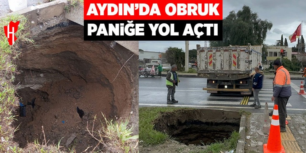 Aydın'da obruk paniğe paniğe yol açtı