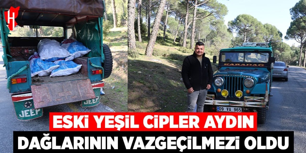 Eski yeşil cipler Aydın dağlarının vazgeçilmezi oldu