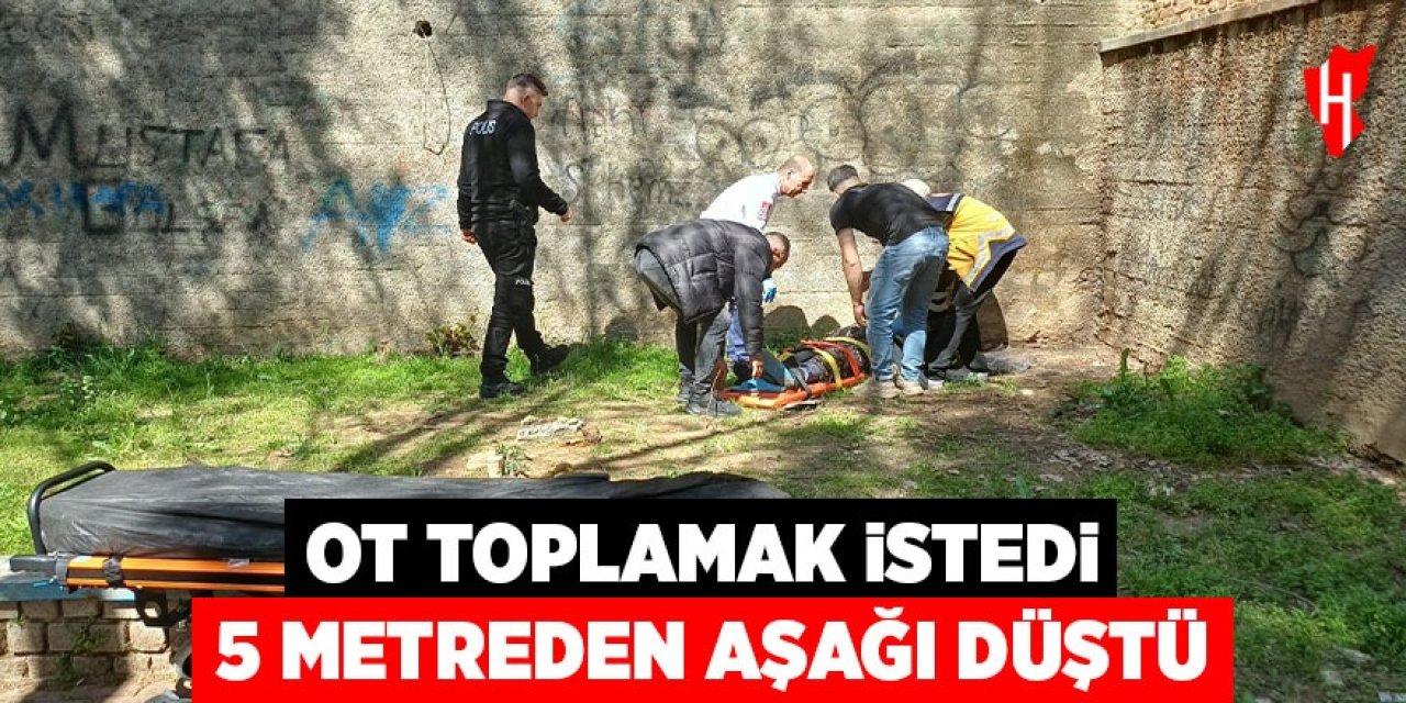 Aydın'da bir kişi ot toplamak istedi, 5 metreden aşağı düştü