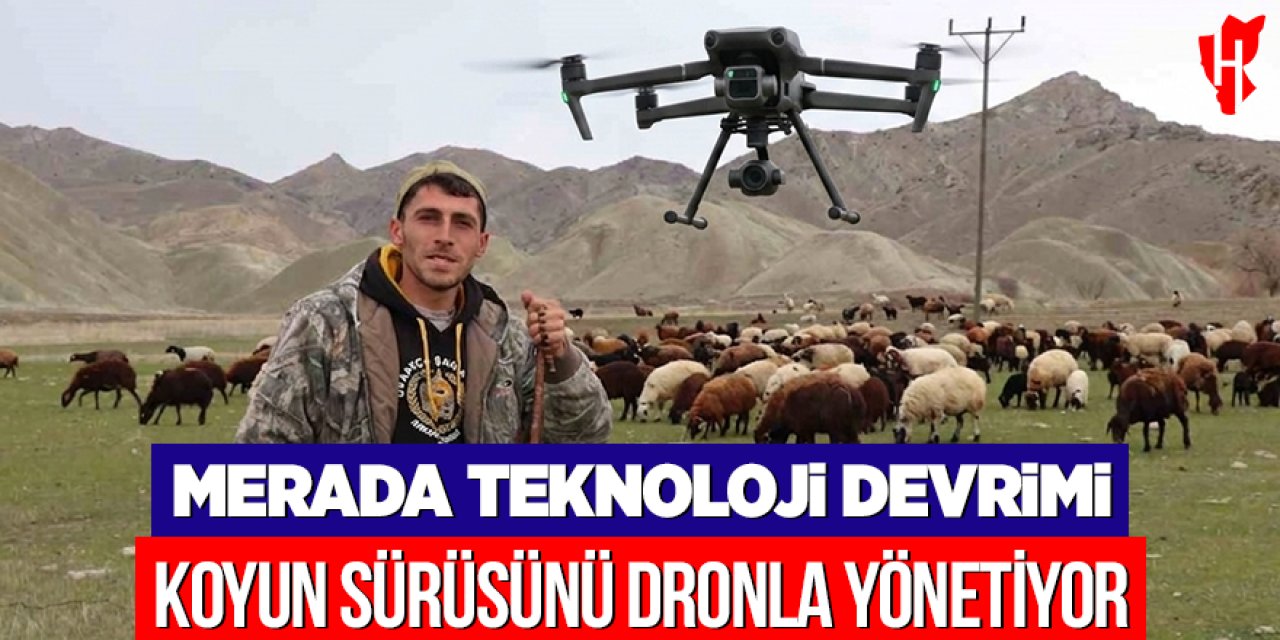 Merada teknoloji devrimi: Koyun sürüsünü dronla yönetiyor