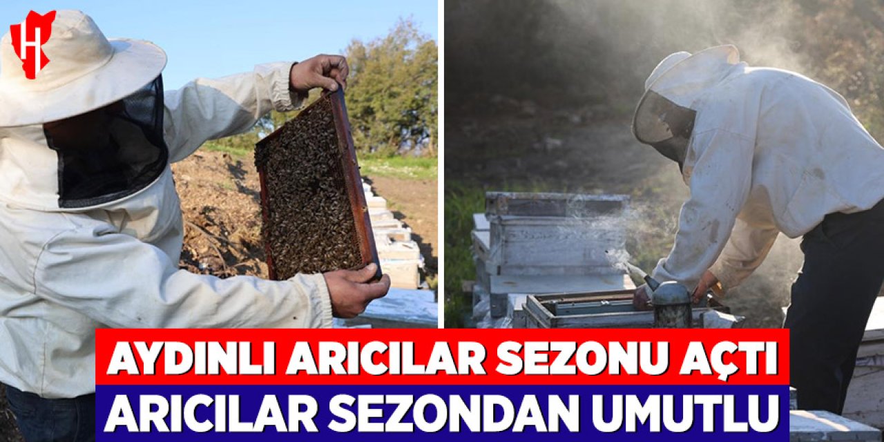 Aydınlı arıcılar sezonu açtı: Arıcılar sezondan umutlu