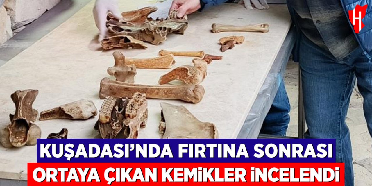 Kuşadası’nda fırtına sonrası ortaya çıkan kemikler incelendi