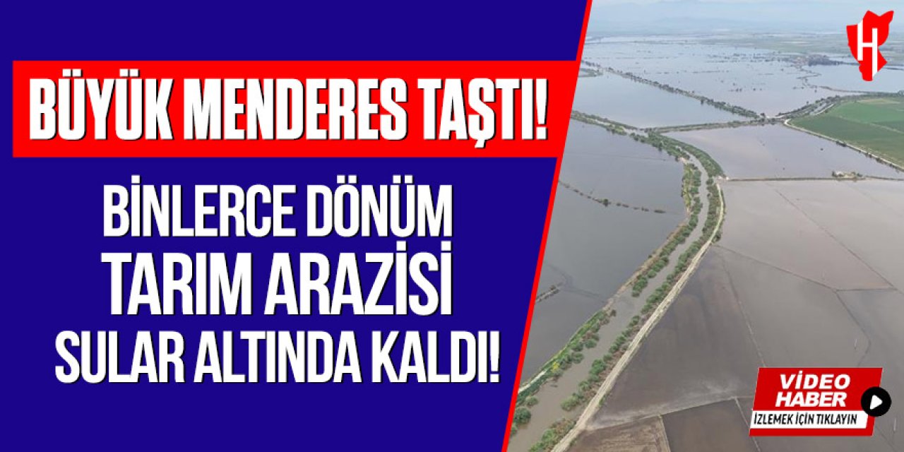 Büyük Menderes taştı: Binlerce dönüm tarım arazisi sular altında kaldı