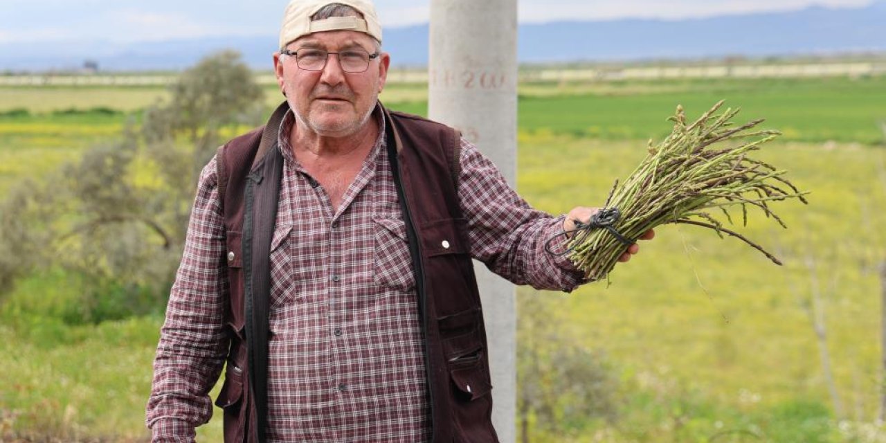 Aydınlı İlyas Amca’dan şifa dağıtan fedakarlık: Doğadan topluyor, ihtiyaç sahiplerine dağıtıyor