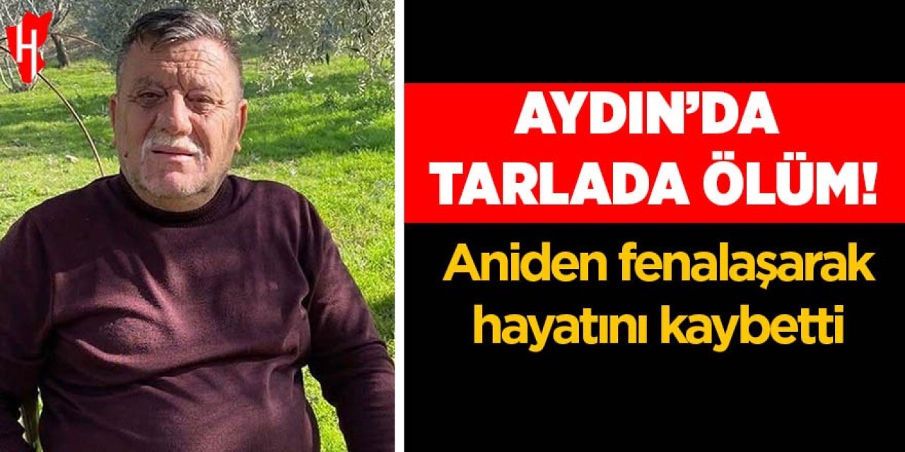 Aydın'da tarlada ölüm: 58 yaşındaki adam hayatını kaybetti