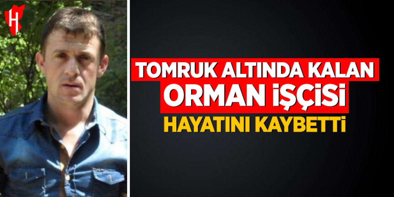 Tomruk altında kalan orman işçisi hayatını kaybetti