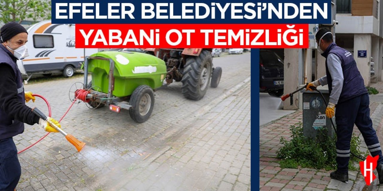 Efeler Belediyesi’nden yabani ot temizliği